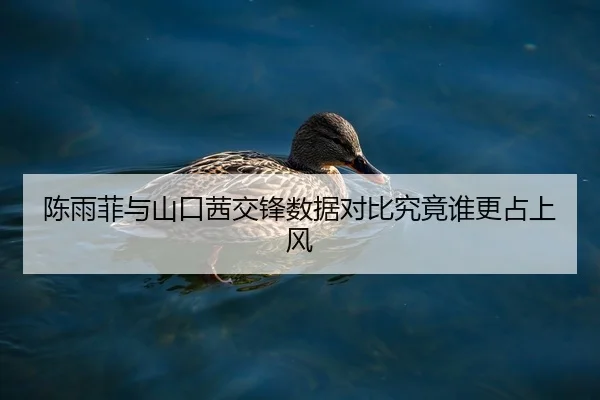 陈雨菲与山口茜交锋数据对比究竟谁更占上风